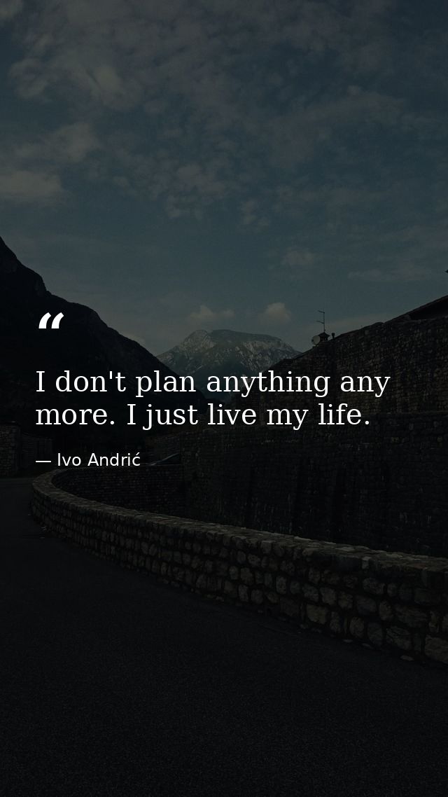 I don't plan anything any more. I just live my life. — Ivo Andrić