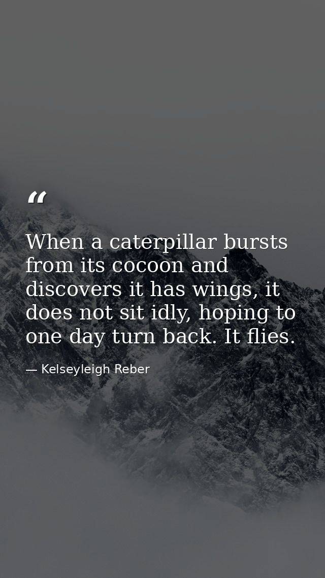 When a caterpillar bursts from its cocoon and discovers it has wings, it does not sit idly, hoping to one day turn back. — Kelseyleigh Reber