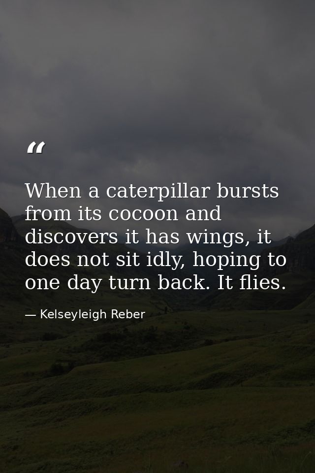 When a caterpillar bursts from its cocoon and discovers it has wings, it does not sit idly, hoping to one day turn back. — Kelseyleigh Reber