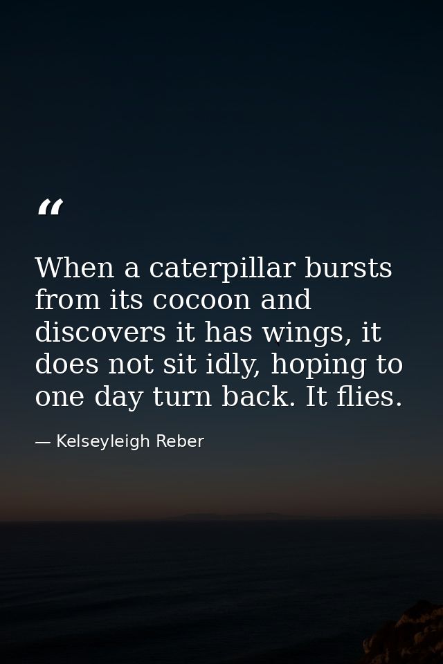 When a caterpillar bursts from its cocoon and discovers it has wings, it does not sit idly, hoping to one day turn back. — Kelseyleigh Reber