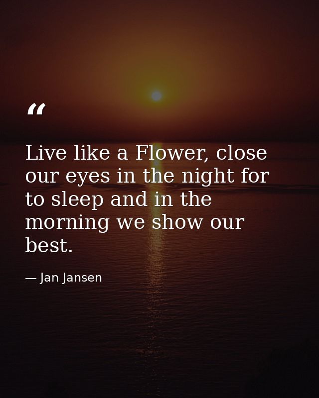 Live like a Flower, close our eyes in the night for to sleep and in the morning we show our best. — Jan Jansen