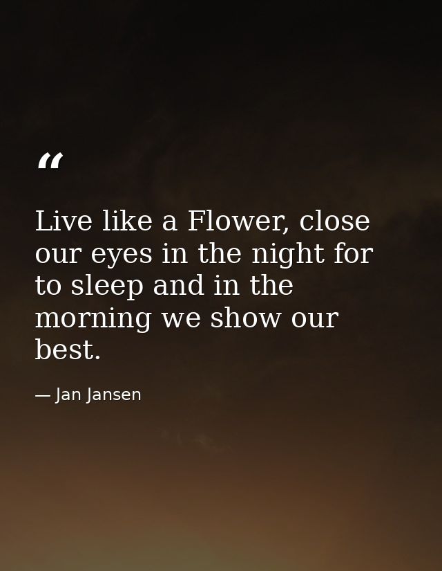 Live like a Flower, close our eyes in the night for to sleep and in the morning we show our best. — Jan Jansen
