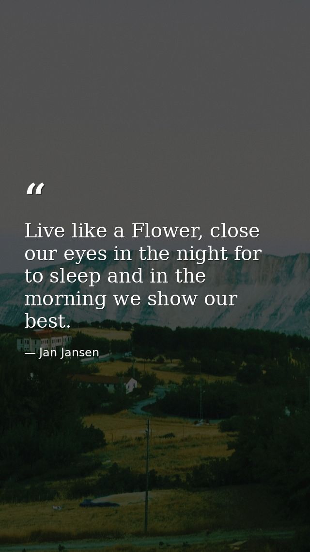 Live like a Flower, close our eyes in the night for to sleep and in the morning we show our best. — Jan Jansen