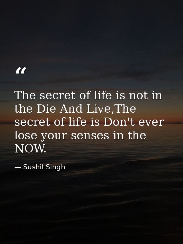 The secret of life is not in the Die And Live,The secret of life is Don't ever lose your senses in the NOW. — Sushil Singh