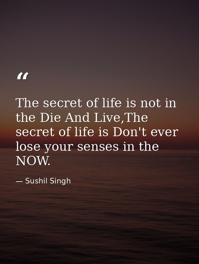 The secret of life is not in the Die And Live,The secret of life is Don't ever lose your senses in the NOW. — Sushil Singh