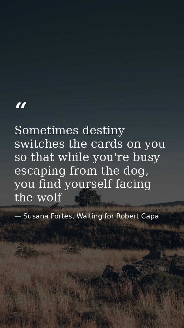 Sometimes destiny switches the cards on you so that while you're busy escaping from the dog, you find yourself facing th — Susana Fortes, Waiting for Robert Capa