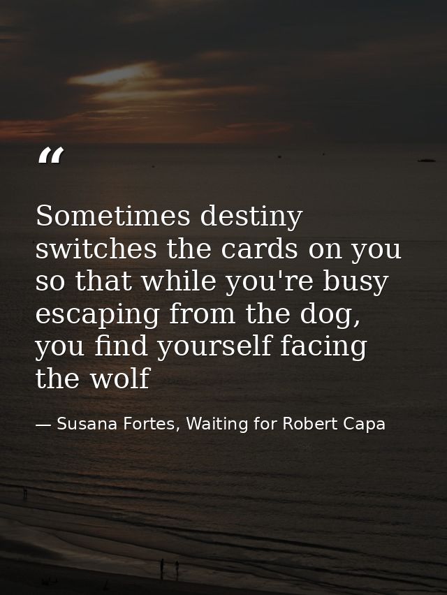 Sometimes destiny switches the cards on you so that while you're busy escaping from the dog, you find yourself facing th — Susana Fortes, Waiting for Robert Capa