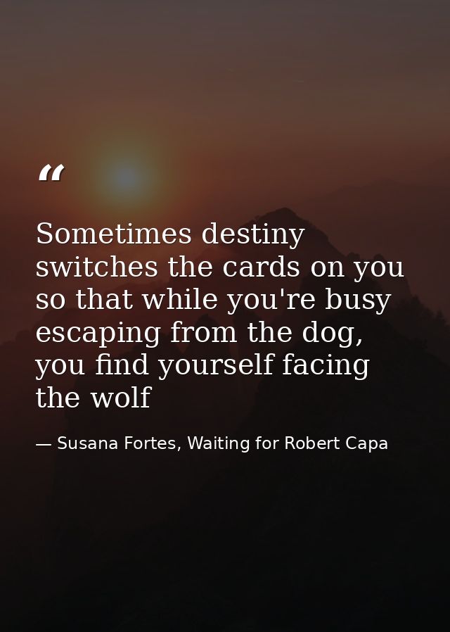 Sometimes destiny switches the cards on you so that while you're busy escaping from the dog, you find yourself facing th — Susana Fortes, Waiting for Robert Capa