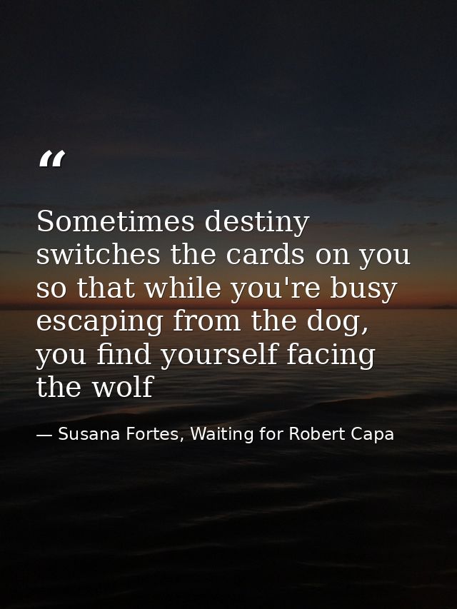 Sometimes destiny switches the cards on you so that while you're busy escaping from the dog, you find yourself facing th — Susana Fortes, Waiting for Robert Capa