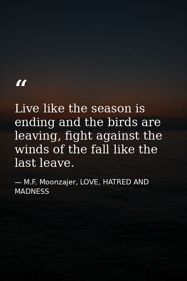 Live like the season is ending and the birds are leaving, fight against the winds of the fall like the last leave. — M.F. Moonzajer, LOVE, HATRED AND MADNESS