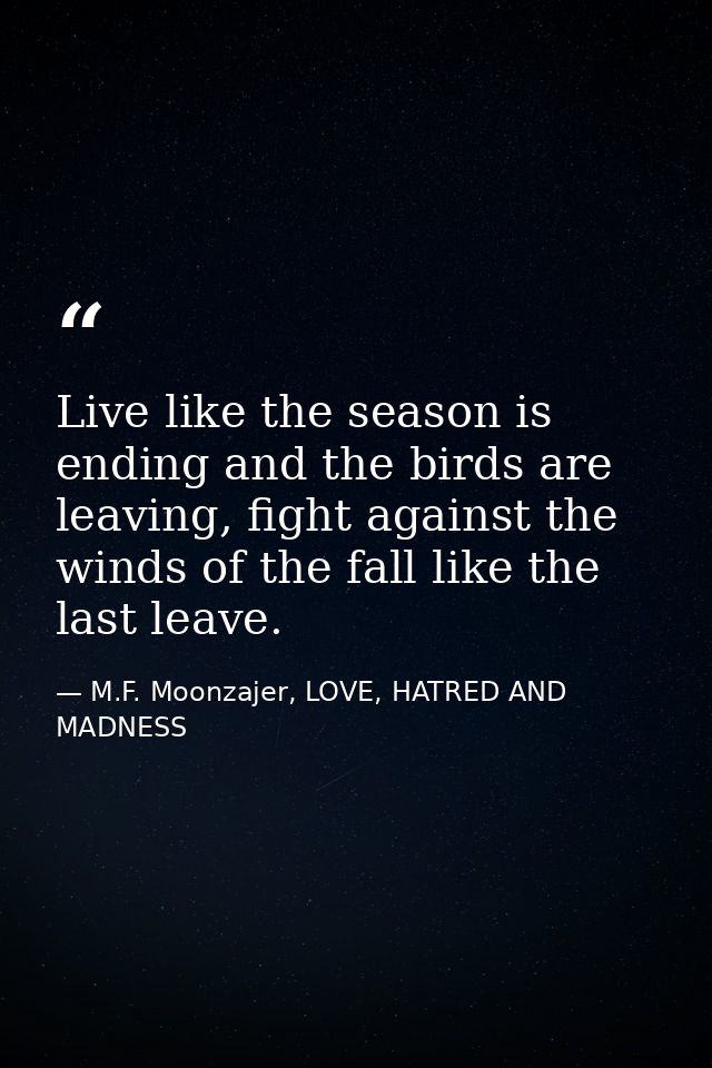 Live like the season is ending and the birds are leaving, fight against the winds of the fall like the last leave. — M.F. Moonzajer, LOVE, HATRED AND MADNESS