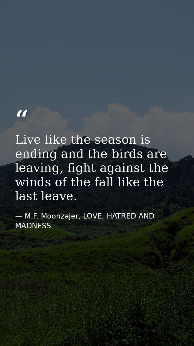 Live like the season is ending and the birds are leaving, fight against the winds of the fall like the last leave. — M.F. Moonzajer, LOVE, HATRED AND MADNESS
