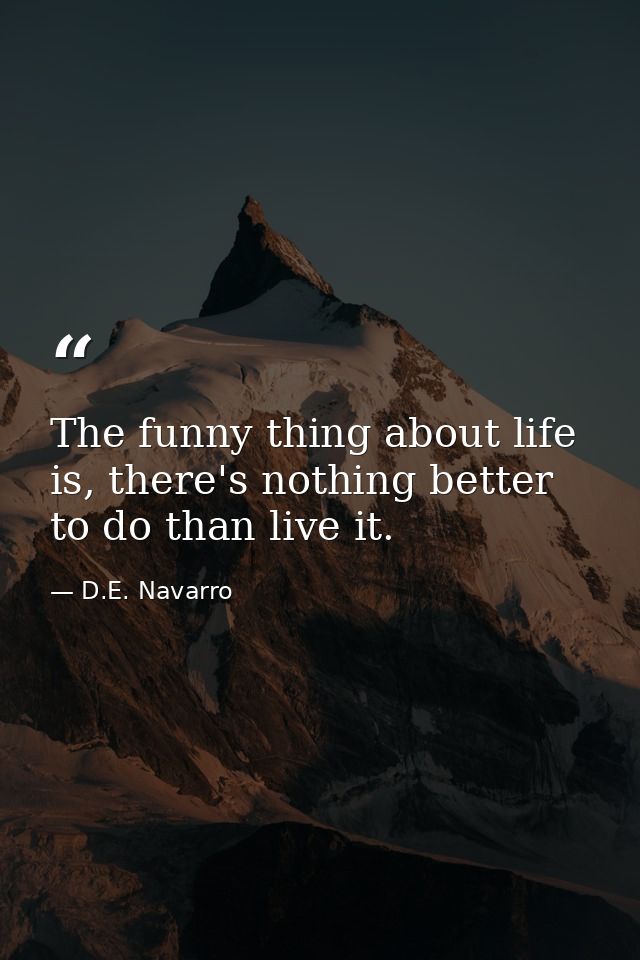 The funny thing about life is, there's nothing better to do than live it. — D.E. Navarro