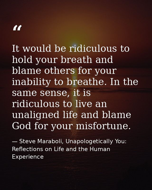 It would be ridiculous to hold your breath and blame others for your inability to breathe. In the same sense, it is ridi — Steve Maraboli, Unapologetically You: Reflections on Life and the Human Experience