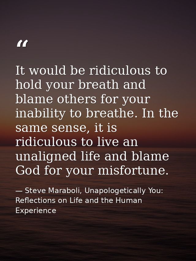 It would be ridiculous to hold your breath and blame others for your inability to breathe. In the same sense, it is ridi — Steve Maraboli, Unapologetically You: Reflections on Life and the Human Experience