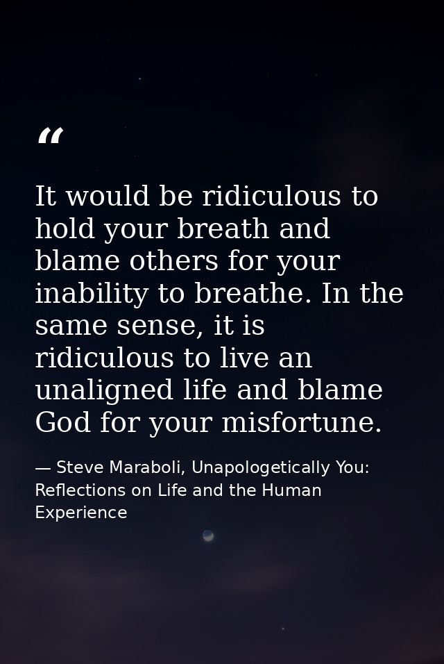 It would be ridiculous to hold your breath and blame others for your inability to breathe. In the same sense, it is ridi — Steve Maraboli, Unapologetically You: Reflections on Life and the Human Experience