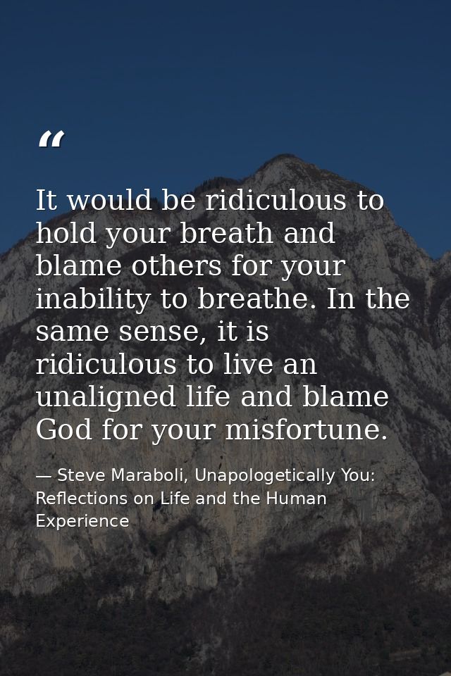 It would be ridiculous to hold your breath and blame others for your inability to breathe. In the same sense, it is ridi — Steve Maraboli, Unapologetically You: Reflections on Life and the Human Experience