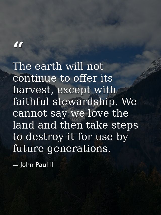The earth will not continue to offer its harvest, except with faithful stewardship. We cannot say we love the land and t — John Paul II