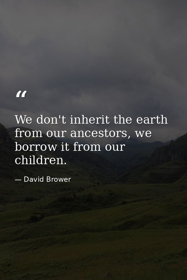 We don't inherit the earth from our ancestors, we borrow it from our children. — David Brower