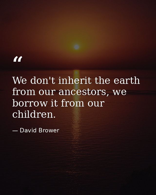 We don't inherit the earth from our ancestors, we borrow it from our children. — David Brower
