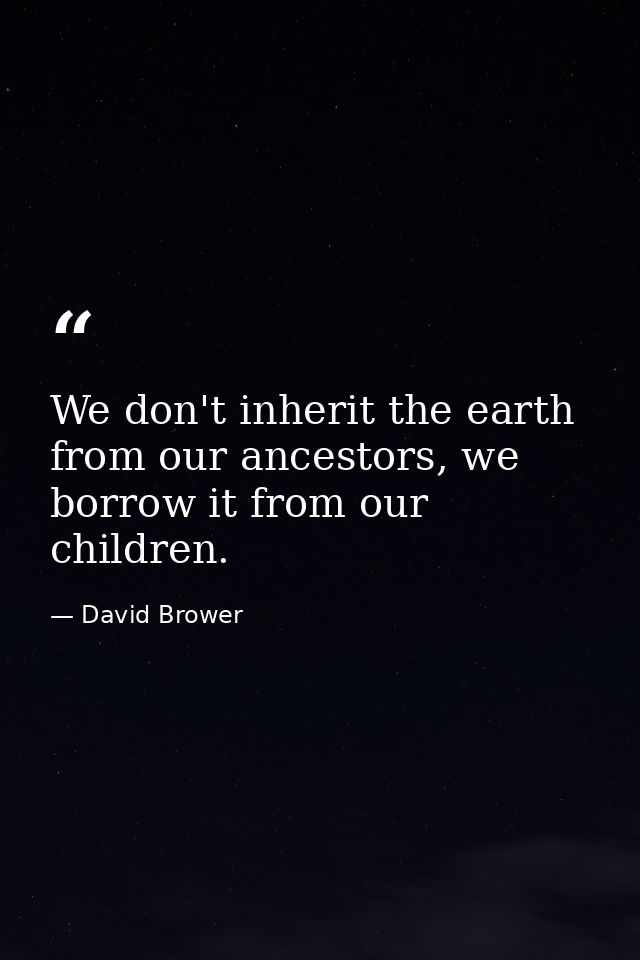 We don't inherit the earth from our ancestors, we borrow it from our children. — David Brower