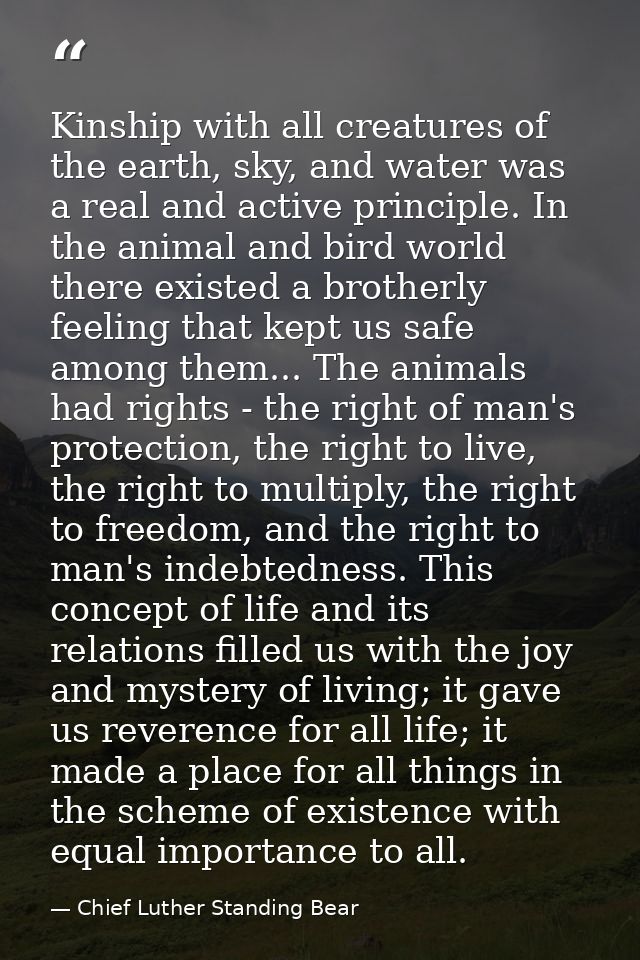 Kinship with all creatures of the earth, sky, and water was a real and active principle. In the animal and bird world th — Chief Luther Standing Bear