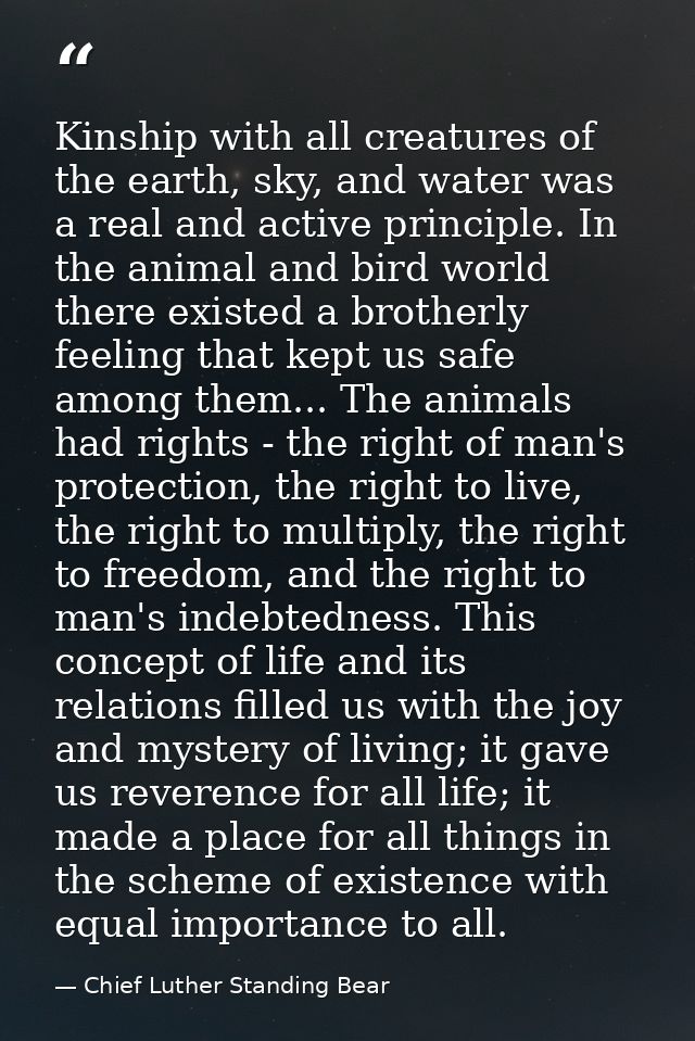 Kinship with all creatures of the earth, sky, and water was a real and active principle. In the animal and bird world th — Chief Luther Standing Bear