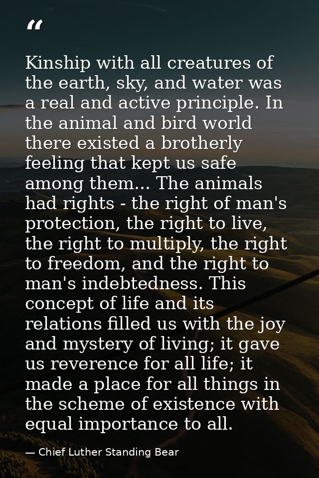 Kinship with all creatures of the earth, sky, and water was a real and active principle. In the animal and bird world th — Chief Luther Standing Bear