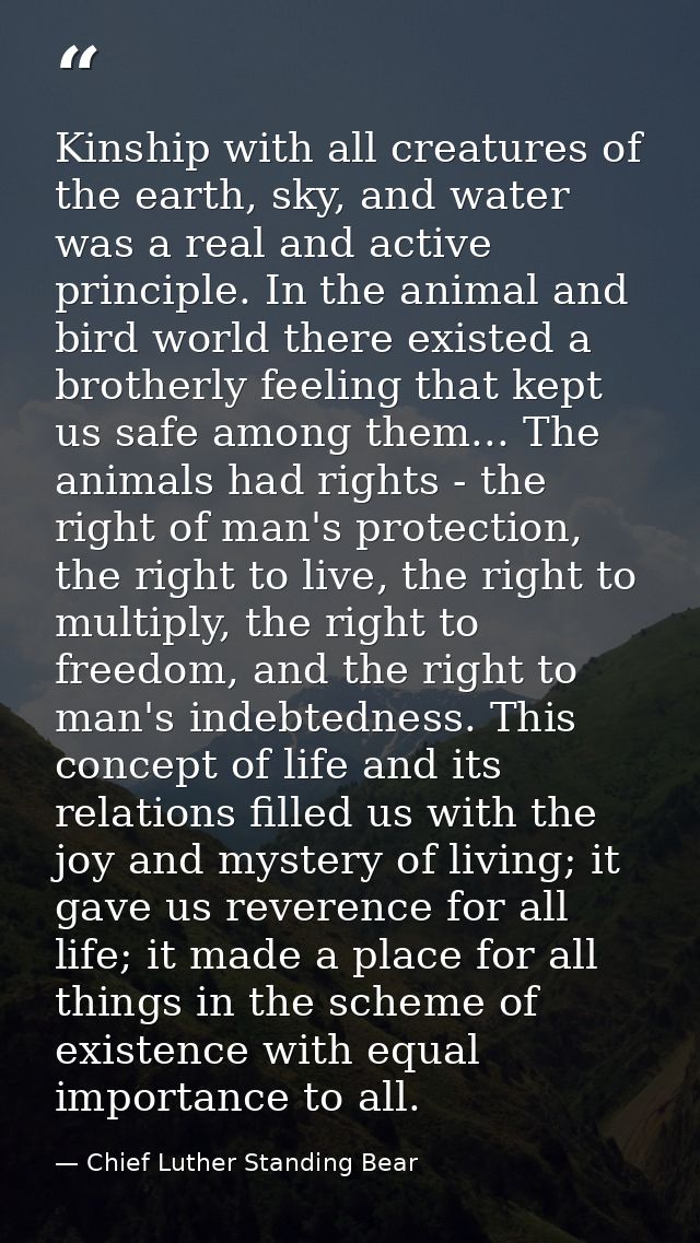 Kinship with all creatures of the earth, sky, and water was a real and active principle. In the animal and bird world th — Chief Luther Standing Bear