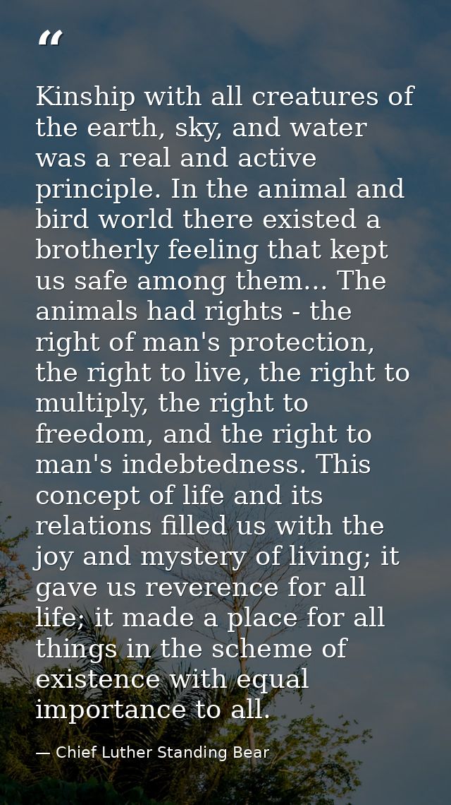 Kinship with all creatures of the earth, sky, and water was a real and active principle. In the animal and bird world th — Chief Luther Standing Bear