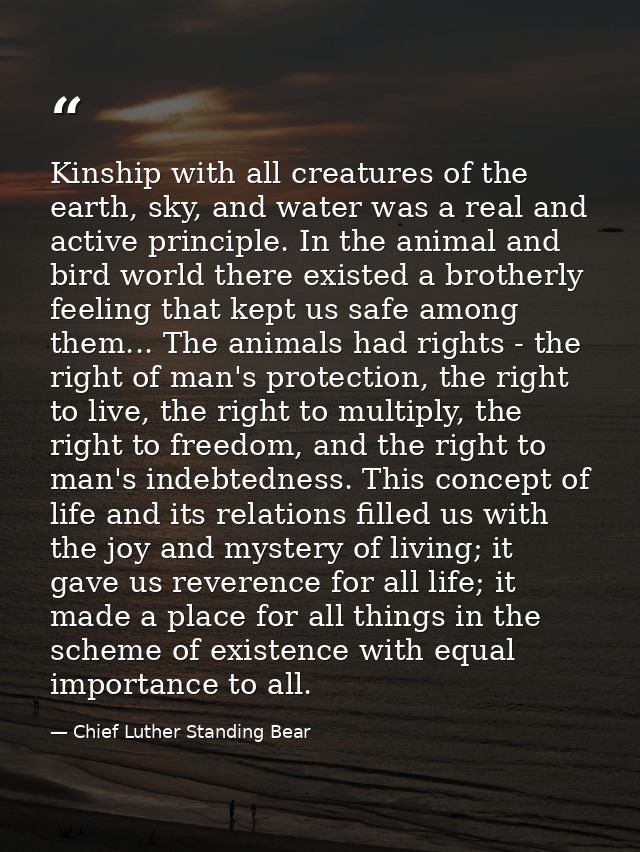 Kinship with all creatures of the earth, sky, and water was a real and active principle. In the animal and bird world th — Chief Luther Standing Bear