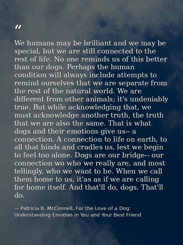 We humans may be brilliant and we may be special, but we are still connected to the rest of life. No one reminds us of t — Patricia B. McConnell, For the Love of a Dog: Understanding Emotion in You and Your Best Friend