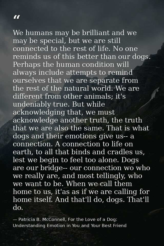 We humans may be brilliant and we may be special, but we are still connected to the rest of life. No one reminds us of t — Patricia B. McConnell, For the Love of a Dog: Understanding Emotion in You and Your Best Friend