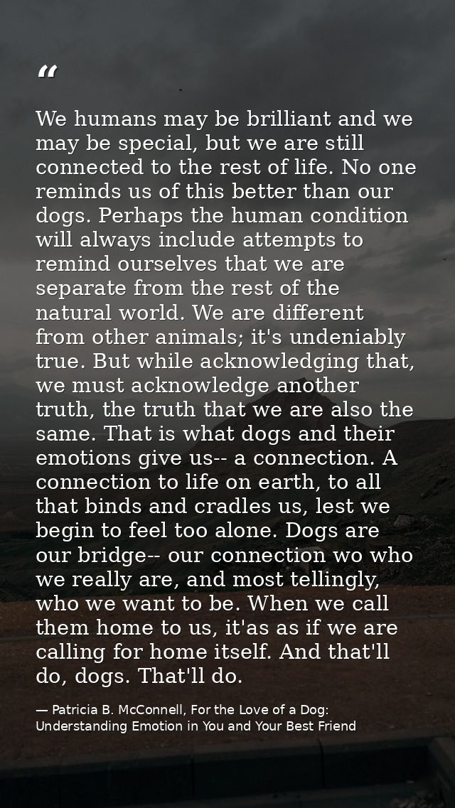 We humans may be brilliant and we may be special, but we are still connected to the rest of life. No one reminds us of t — Patricia B. McConnell, For the Love of a Dog: Understanding Emotion in You and Your Best Friend
