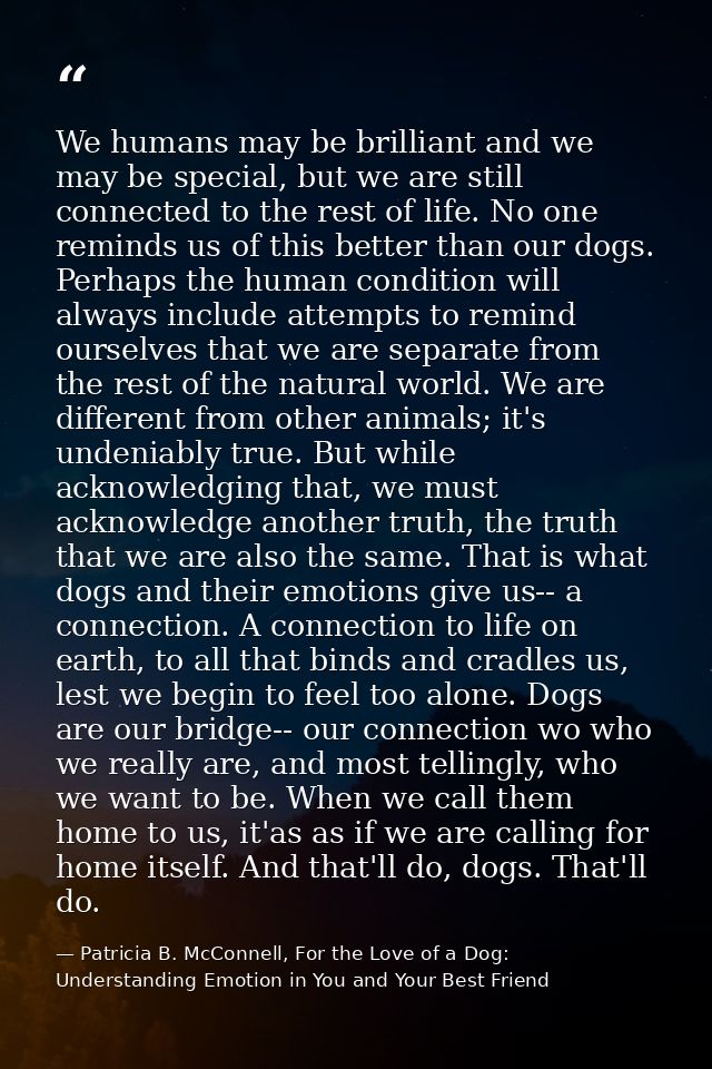 We humans may be brilliant and we may be special, but we are still connected to the rest of life. No one reminds us of t — Patricia B. McConnell, For the Love of a Dog: Understanding Emotion in You and Your Best Friend
