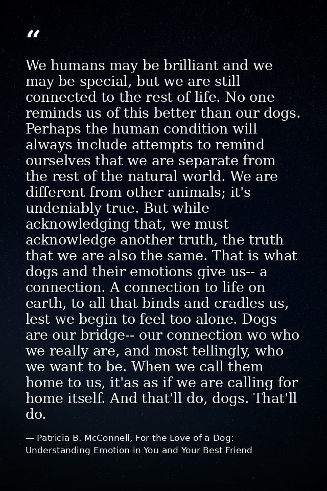 We humans may be brilliant and we may be special, but we are still connected to the rest of life. No one reminds us of t — Patricia B. McConnell, For the Love of a Dog: Understanding Emotion in You and Your Best Friend