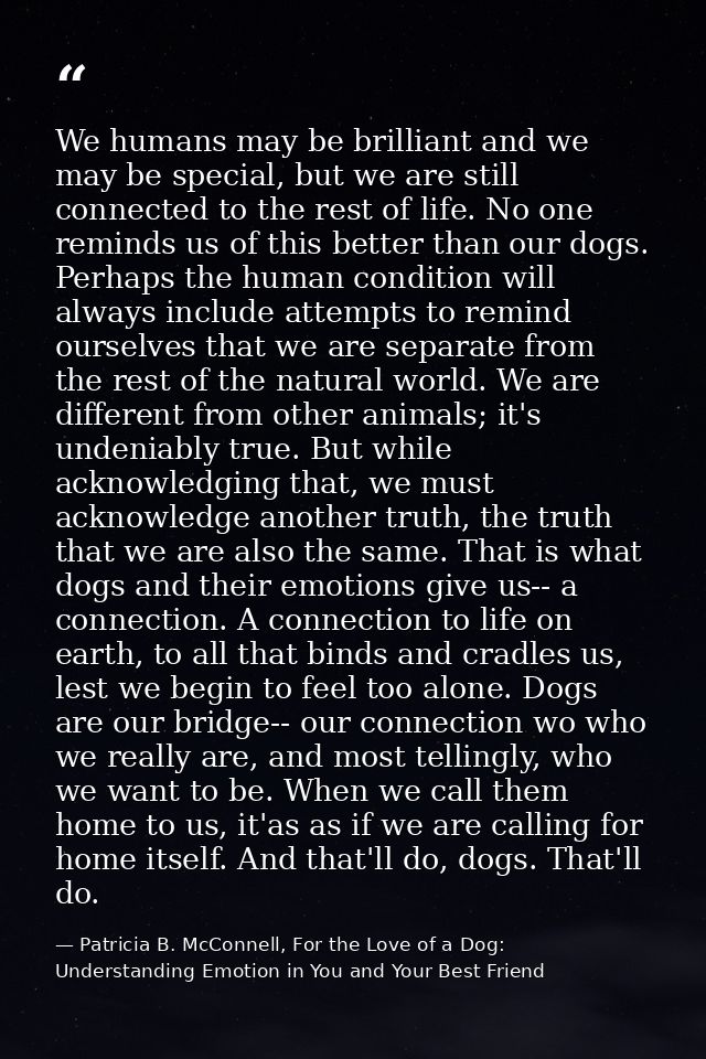 We humans may be brilliant and we may be special, but we are still connected to the rest of life. No one reminds us of t — Patricia B. McConnell, For the Love of a Dog: Understanding Emotion in You and Your Best Friend