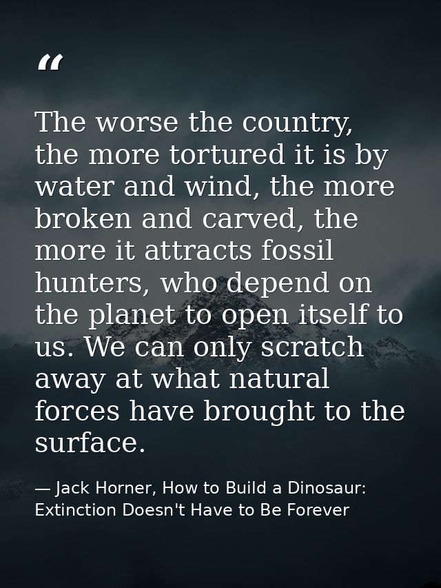 The worse the country, the more tortured it is by water and wind, the more broken and carved, the more it attracts fossi — Jack Horner, How to Build a Dinosaur: Extinction Doesn't Have to Be Forever