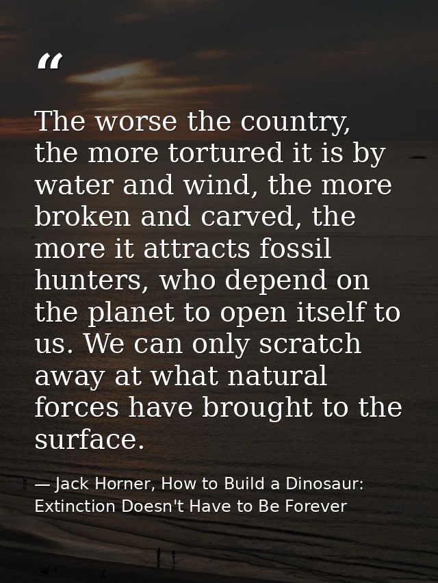 The worse the country, the more tortured it is by water and wind, the more broken and carved, the more it attracts fossi — Jack Horner, How to Build a Dinosaur: Extinction Doesn't Have to Be Forever