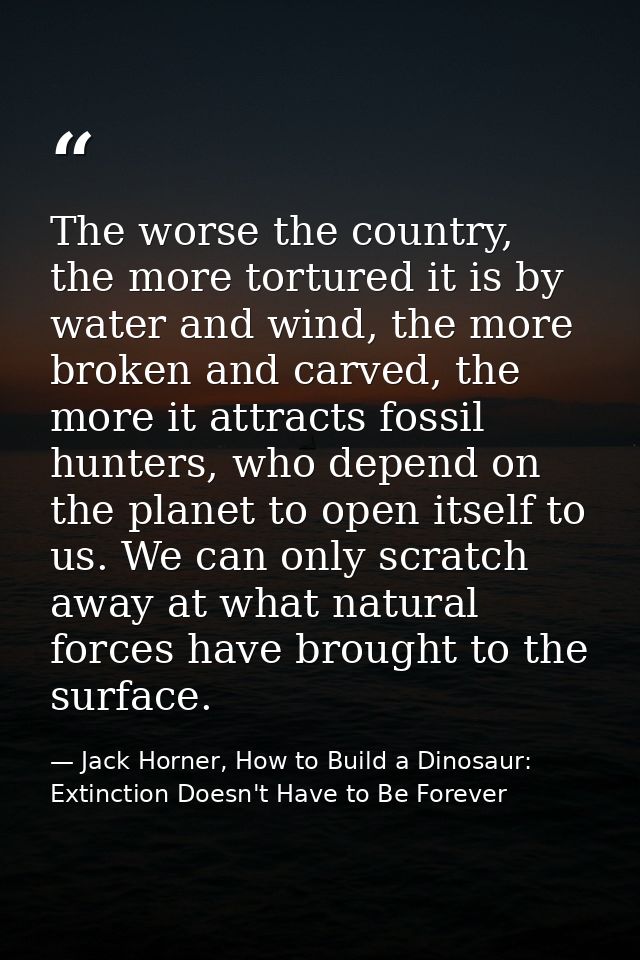 The worse the country, the more tortured it is by water and wind, the more broken and carved, the more it attracts fossi — Jack Horner, How to Build a Dinosaur: Extinction Doesn't Have to Be Forever