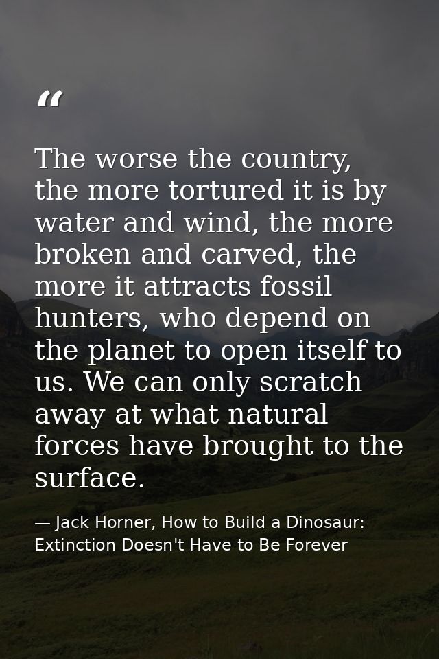 The worse the country, the more tortured it is by water and wind, the more broken and carved, the more it attracts fossi — Jack Horner, How to Build a Dinosaur: Extinction Doesn't Have to Be Forever