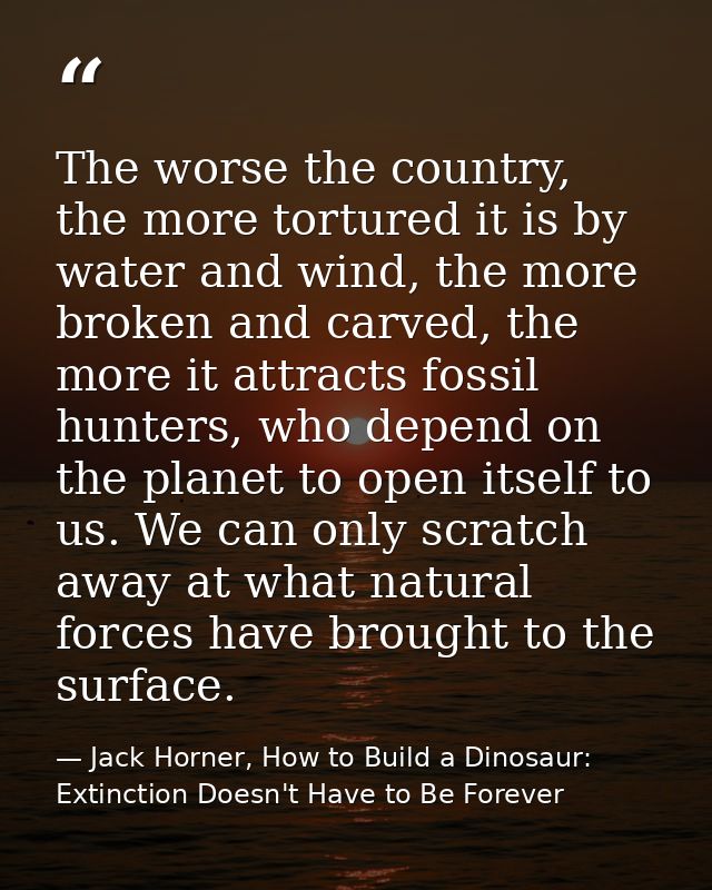 The worse the country, the more tortured it is by water and wind, the more broken and carved, the more it attracts fossi — Jack Horner, How to Build a Dinosaur: Extinction Doesn't Have to Be Forever