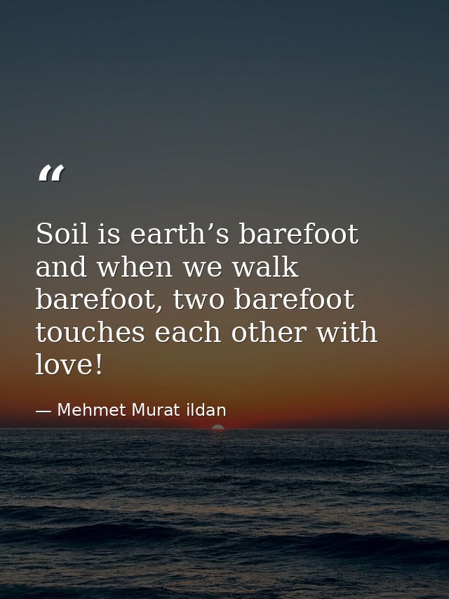 Soil is earth’s barefoot and when we walk barefoot, two barefoot touches each other with love! — Mehmet Murat ildan