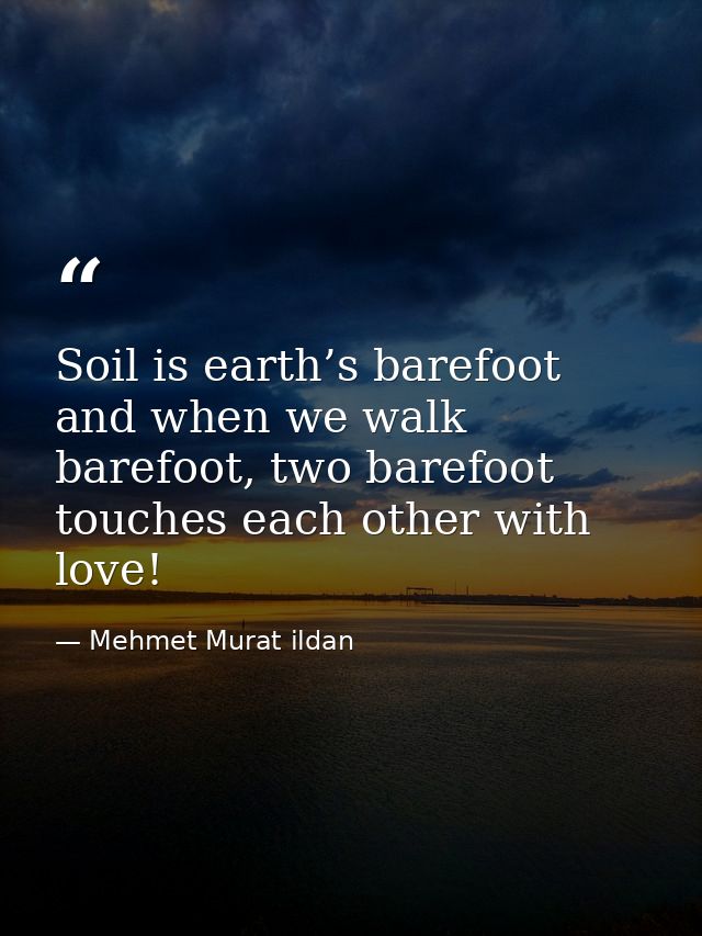 Soil is earth’s barefoot and when we walk barefoot, two barefoot touches each other with love! — Mehmet Murat ildan