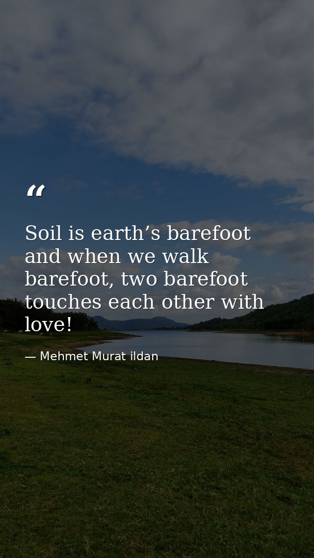 Soil is earth’s barefoot and when we walk barefoot, two barefoot touches each other with love! — Mehmet Murat ildan