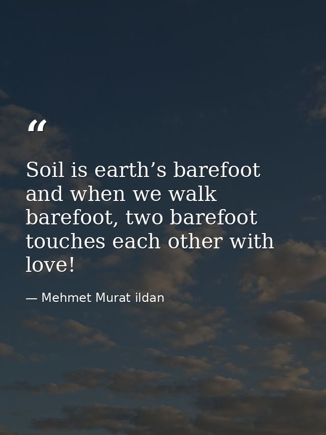 Soil is earth’s barefoot and when we walk barefoot, two barefoot touches each other with love! — Mehmet Murat ildan