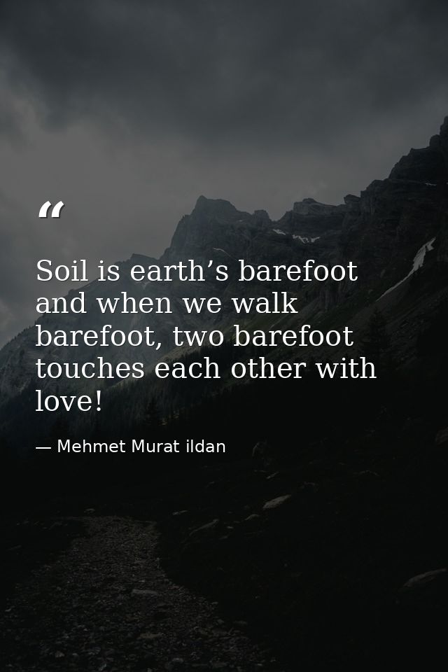 Soil is earth’s barefoot and when we walk barefoot, two barefoot touches each other with love! — Mehmet Murat ildan