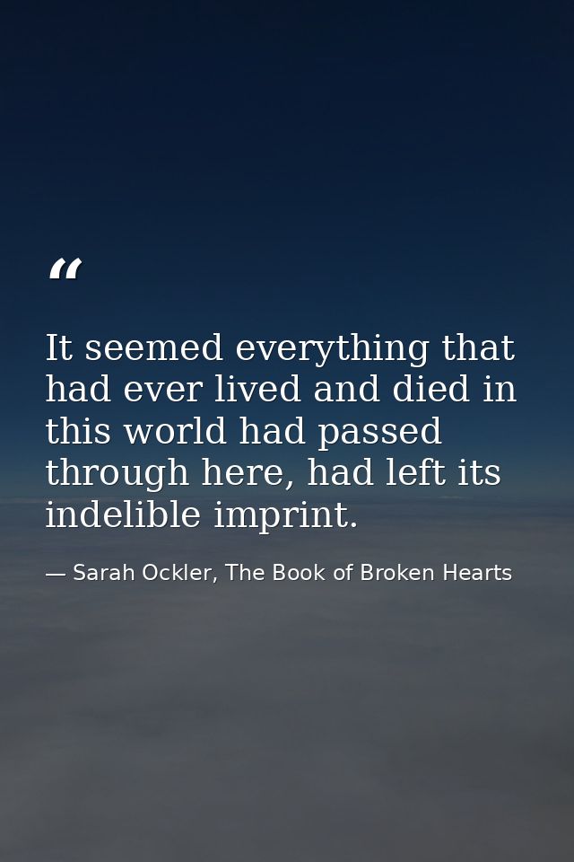 It seemed everything that had ever lived and died in this world had passed through here, had left its indelible imprint. — Sarah Ockler, The Book of Broken Hearts