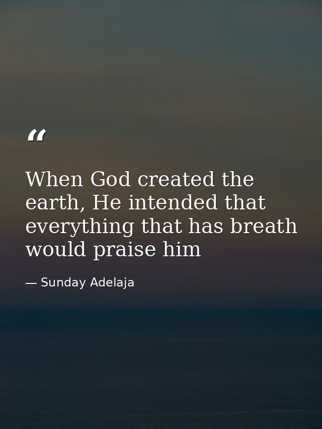 When God created the earth, He intended that everything that has breath would praise him — Sunday Adelaja
