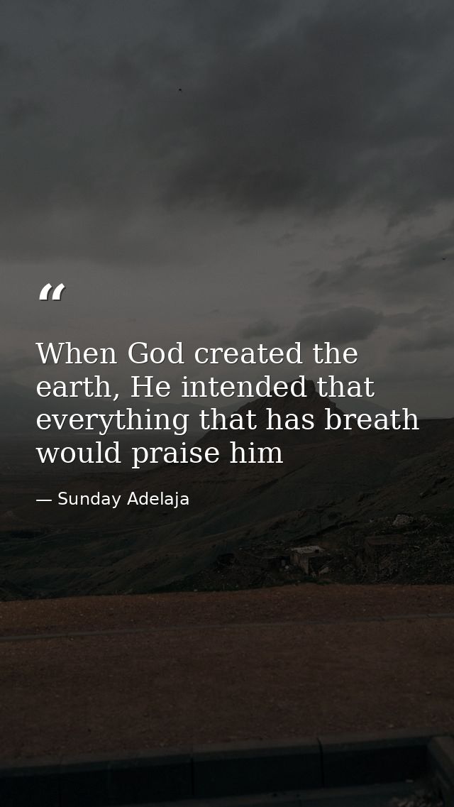 When God created the earth, He intended that everything that has breath would praise him — Sunday Adelaja